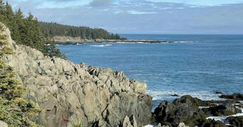 Rocky coastline with waves crashing against the shore, surrounded by evergreen trees and a clear blue sky.