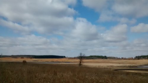 A wide landscape featuring golden grass, a blue sky with clouds, and a distant tree line against a hilly backdrop.