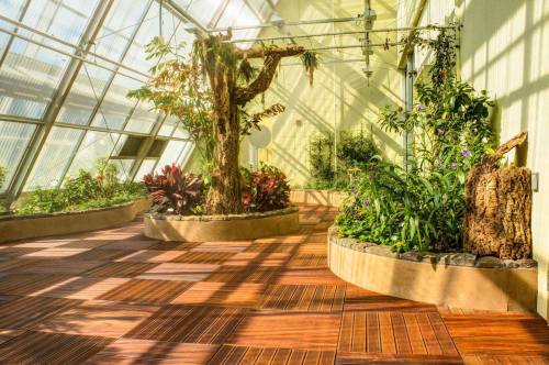 A bright greenhouse with lush plants, a large tree, and wooden flooring, illuminated by sunlight through glass walls.