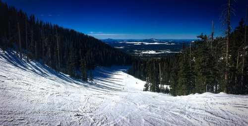A snowy mountain slope with tall trees on either side, overlooking a valley under a clear blue sky.