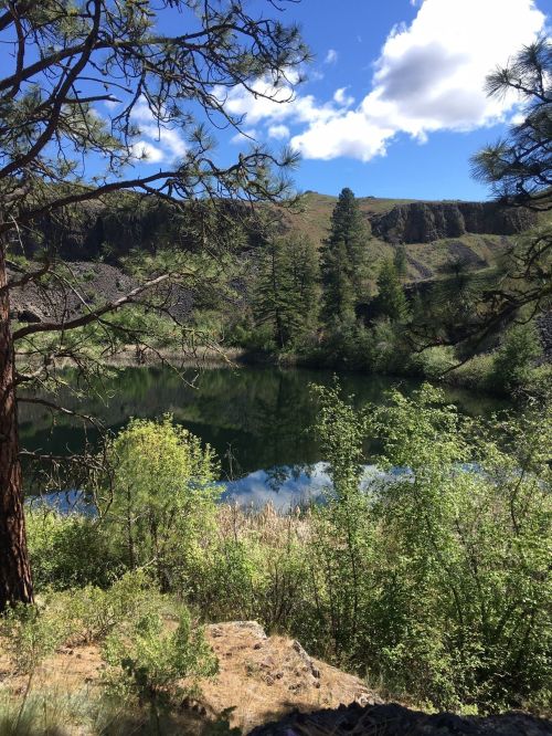 A serene landscape featuring a calm lake surrounded by trees and rocky hills under a blue sky with fluffy clouds.