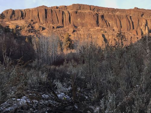 A rugged cliffside bathed in warm light, surrounded by sparse trees and shrubs in a natural landscape.