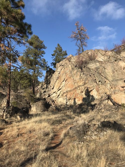 A rocky hillside with scattered trees under a blue sky, featuring a narrow dirt path through dry grass.