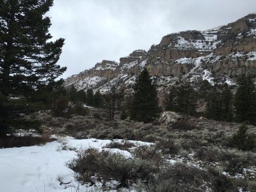 A snowy landscape with rocky cliffs and evergreen trees under a cloudy sky.