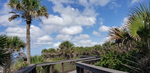 A wooden boardwalk winds through lush greenery and palm trees under a bright blue sky with fluffy clouds.