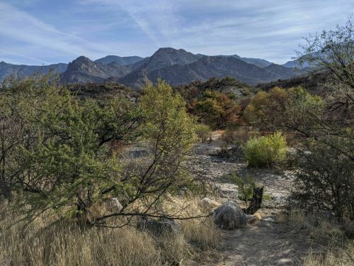 A scenic view of mountains in the background, with lush greenery and rocky terrain in the foreground.