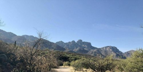 A desert landscape with mountains in the background, featuring sparse vegetation and a clear blue sky.