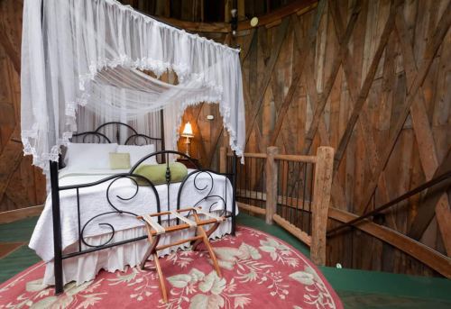 Cozy bedroom with a four-poster bed, lace canopy, wooden walls, and a decorative rug.