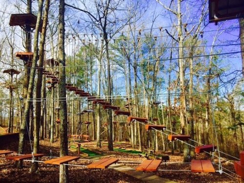 A treetop adventure course with wooden platforms and ropes, surrounded by trees and a clear blue sky.