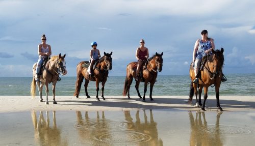 Four riders on horseback stand on a beach, with the ocean in the background and reflections in the wet sand.