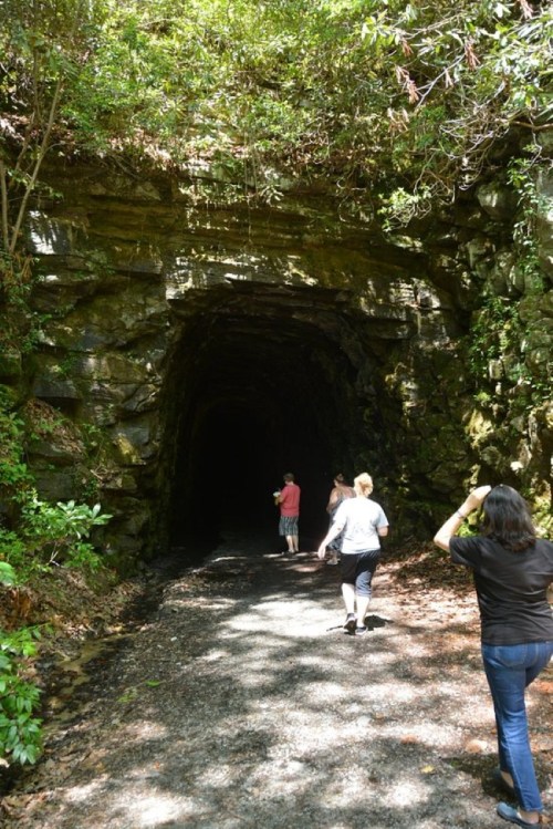 Three people walk towards a dark tunnel surrounded by lush greenery and rocky walls. Sunlight filters through the trees.