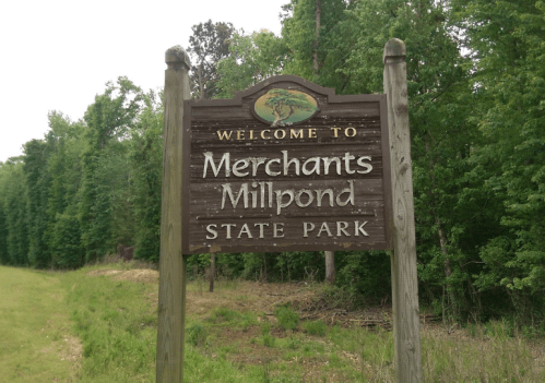 Welcome sign for Merchants Millpond State Park, surrounded by lush greenery and trees.