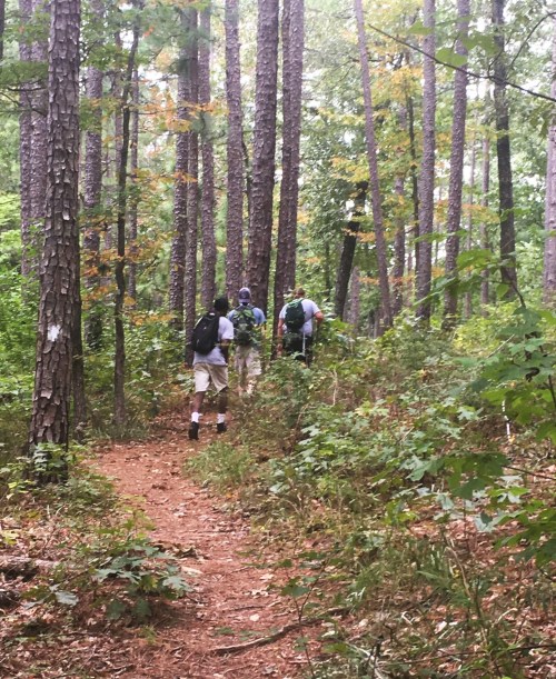 Three hikers walking along a narrow trail through a dense forest of tall trees and lush greenery.
