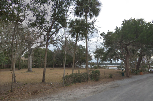 A serene landscape featuring trees and open grass, with a glimpse of water in the background under a cloudy sky.
