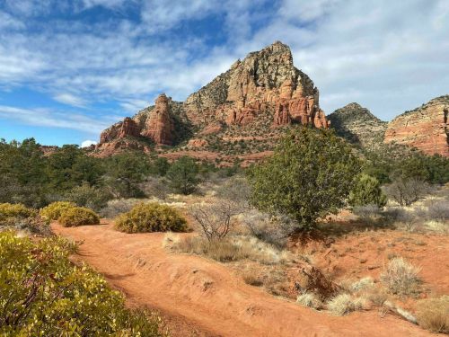 A scenic view of red rock formations and green shrubs under a blue sky with clouds in a desert landscape.