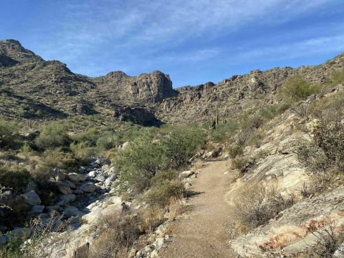 A winding dirt path through a rocky desert landscape with sparse vegetation and mountains in the background.