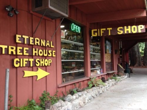 A red building with a sign reading "Eternal Tree House Gift Shop" and an open neon sign in the window.