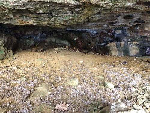 A rocky cave interior with a sandy floor and scattered stones, illuminated by natural light.