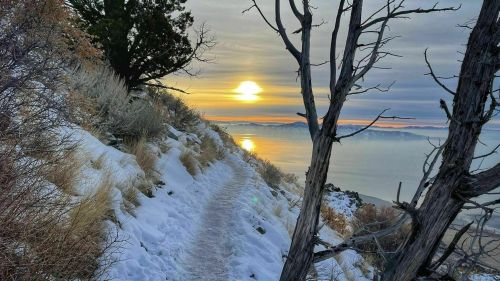 A snowy path along a hillside with a sunset reflecting on water, framed by bare trees and distant mountains.