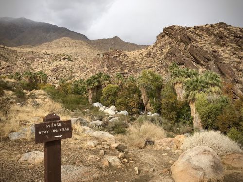A sign reading "Please Stay on Trail" in a desert landscape with palm trees and rocky mountains in the background.