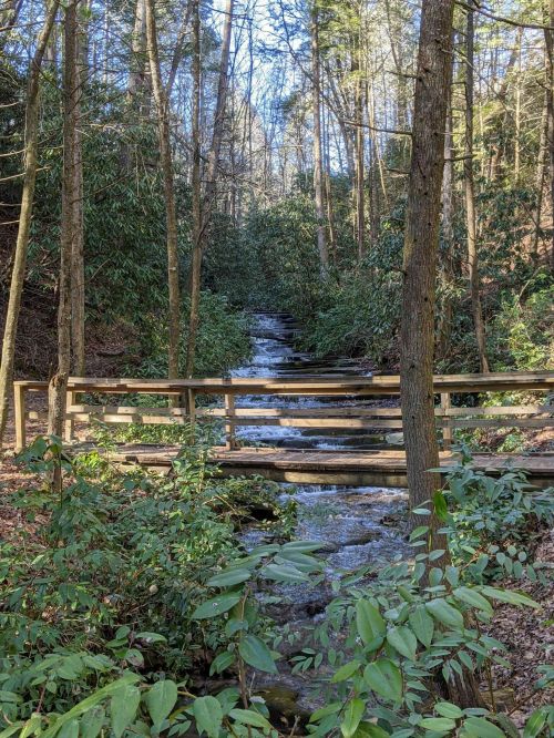 A serene forest scene featuring a small stream flowing under a wooden bridge, surrounded by lush greenery and trees.