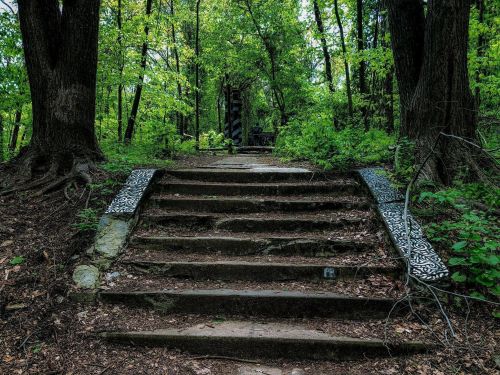 Stone steps lead through a lush green forest, surrounded by trees and decorative patterns on the edges.