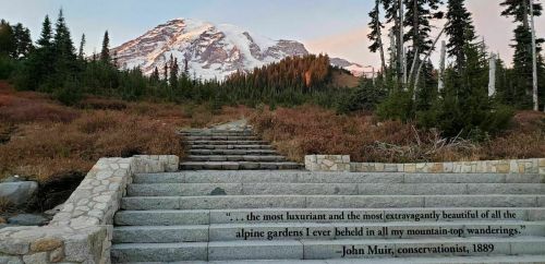 A stone staircase leads to a mountain view, with a quote by John Muir about the beauty of alpine gardens.