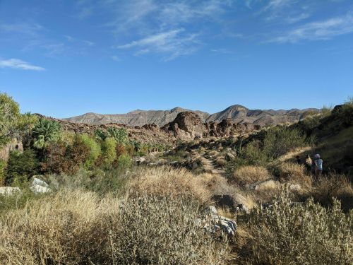 A scenic desert landscape with rocky formations, sparse vegetation, and distant mountains under a clear blue sky.
