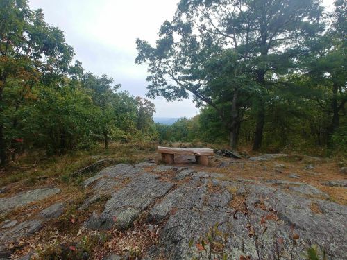 A wooden bench on a rocky outcrop surrounded by trees and greenery, with a distant view of hills under a cloudy sky.
