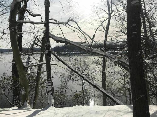 Snow-covered trees frame a serene lake, reflecting sunlight under a cloudy sky.