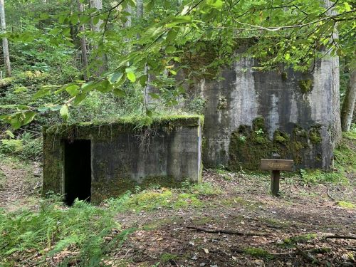 A moss-covered concrete structure in a forest, with a small entrance and a nearby informational sign.