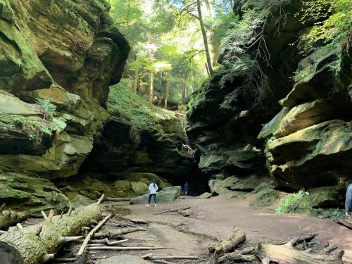 A serene canyon with towering rock formations, lush greenery, and a dirt path leading into the distance.