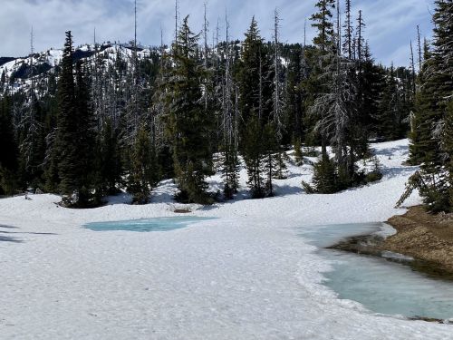 A snowy landscape with patches of blue water, surrounded by evergreen trees and a mountainous backdrop.