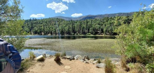 A serene lake surrounded by trees and mountains under a clear blue sky with fluffy clouds.