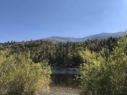 A serene lake surrounded by lush greenery and mountains under a clear blue sky.