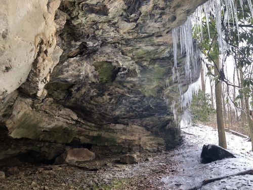 A rocky cave with icicles hanging from the ceiling, surrounded by trees and a snowy ground.