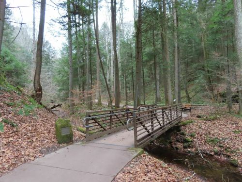 A wooden bridge spans a small stream in a forested area with tall trees and fallen leaves on the ground.