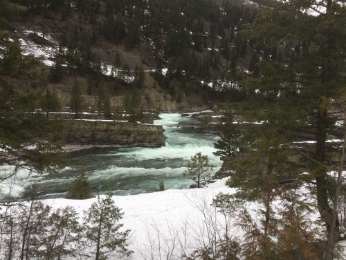 A rushing river flows through rocky terrain, surrounded by evergreen trees and snow-covered ground.
