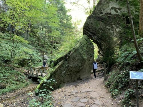 A person walks through a lush green forest with large moss-covered rocks and a wooden bridge in the background.