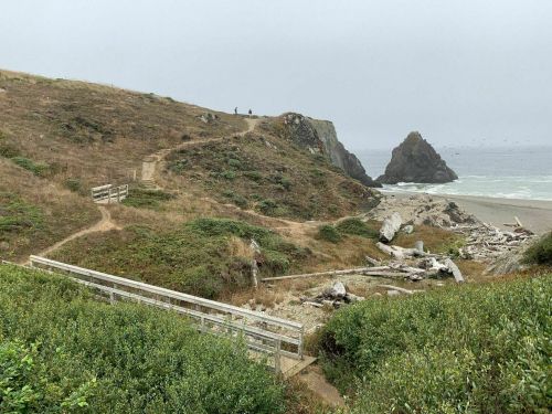 A coastal landscape featuring a sandy beach, rocky cliffs, and a path leading through greenery on a foggy day.