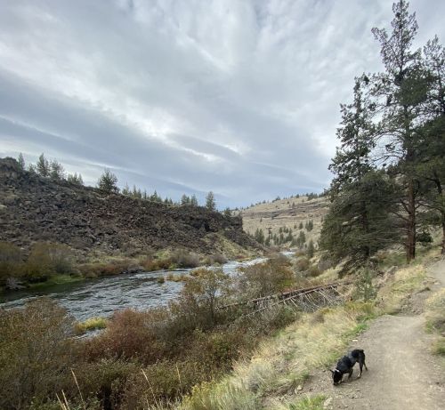 A scenic riverbank with a dog exploring the path, surrounded by trees and rocky hills under a cloudy sky.