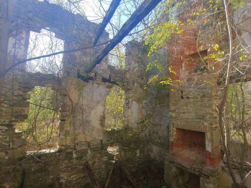 Ruins of a stone building overgrown with vines and surrounded by trees, with sunlight filtering through the openings.