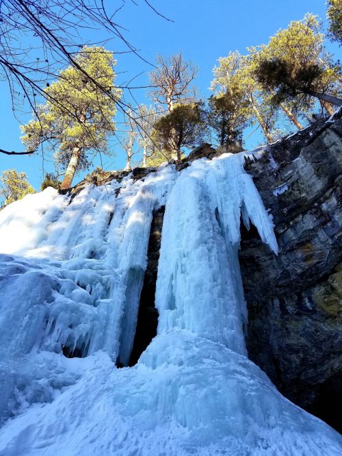 A frozen waterfall cascading down a rocky cliff, surrounded by tall pine trees against a clear blue sky.