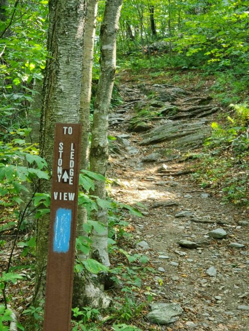 Trail sign directing to Stony Ledge View, surrounded by trees and rocky path in a lush green forest.