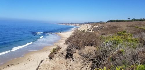 A scenic view of a sandy beach with cliffs, blue ocean, and clear sky, surrounded by coastal vegetation.