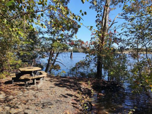 A serene lakeside scene with a picnic table surrounded by trees and colorful autumn leaves under a clear blue sky.