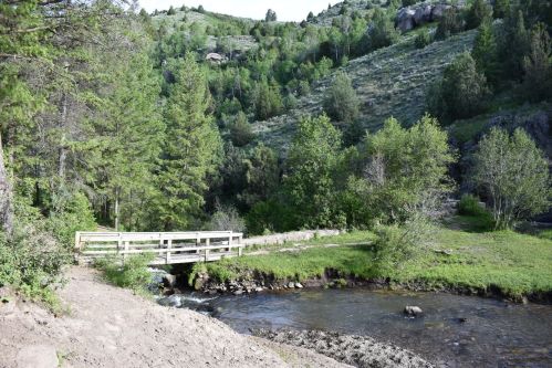 A wooden bridge crosses a stream surrounded by lush green trees and hills in a serene natural landscape.