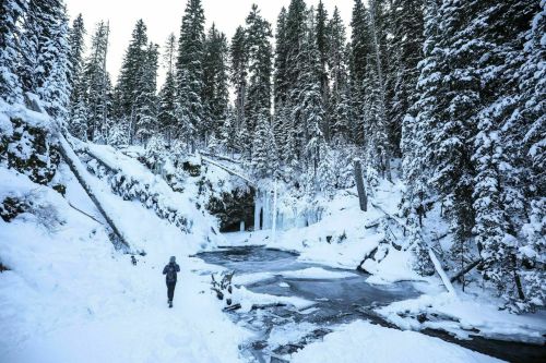 A person walks along a snowy path beside a frozen river, surrounded by tall evergreen trees and icy cliffs.