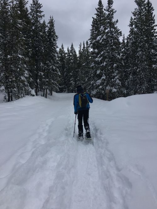 A person snowshoeing on a snowy trail surrounded by tall evergreen trees under a cloudy sky.