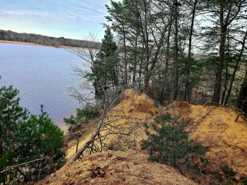 A sandy cliff edge overlooking a calm lake, surrounded by trees and a cloudy sky.